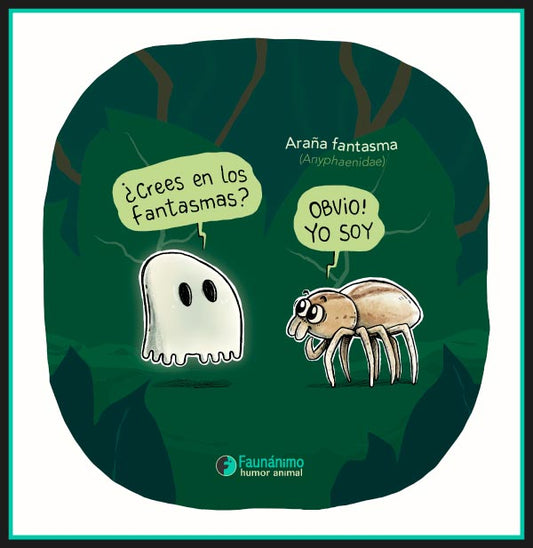 Araña fantasma (Anyphaenidae)