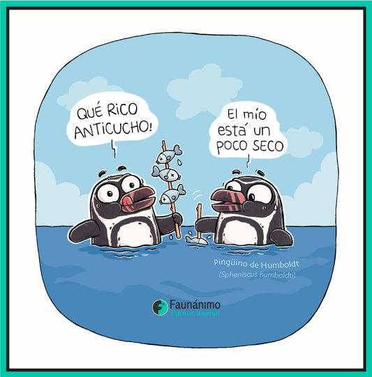 Pingüinos y anticuchos