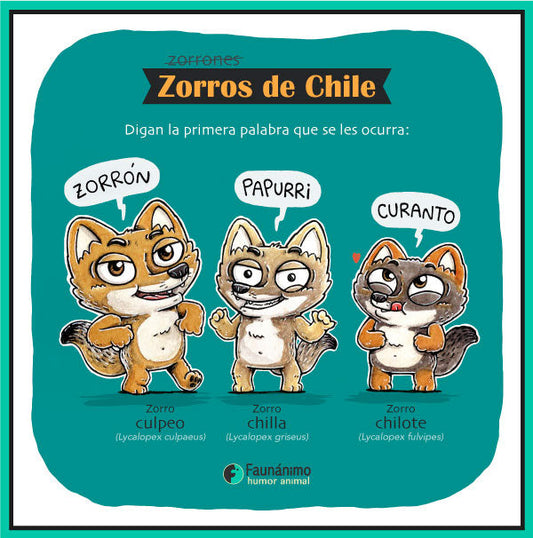 Zorros de Chile